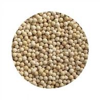 Minge din ceramică cu vitamina C pentru filtru de duș